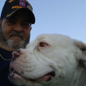 Meet your Posher, Dan